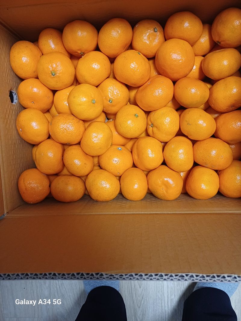 한양동님의 장터 구매 후기 썸네일