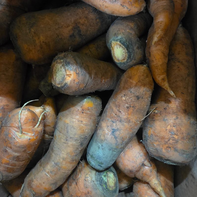 딸기2361님의 장터 구매 후기 썸네일