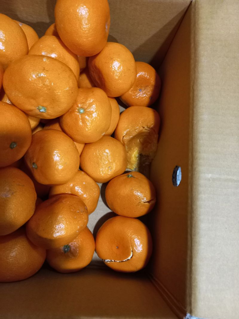 문순님의 장터 구매 후기 썸네일