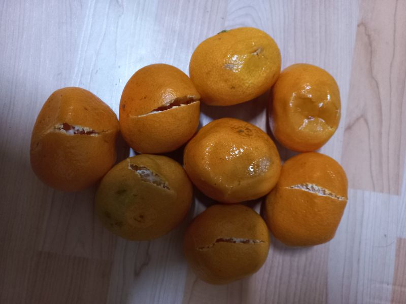 박연숙님의 장터 구매 후기 썸네일