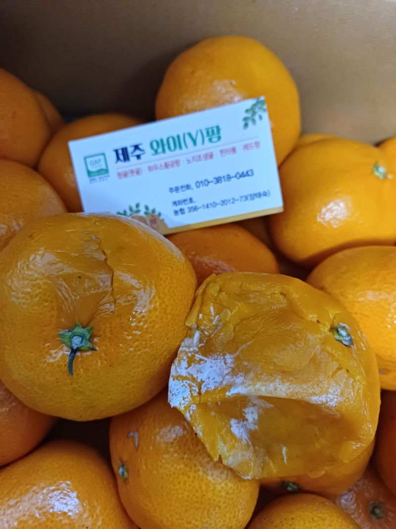 손명희님의 장터 구매 후기 썸네일