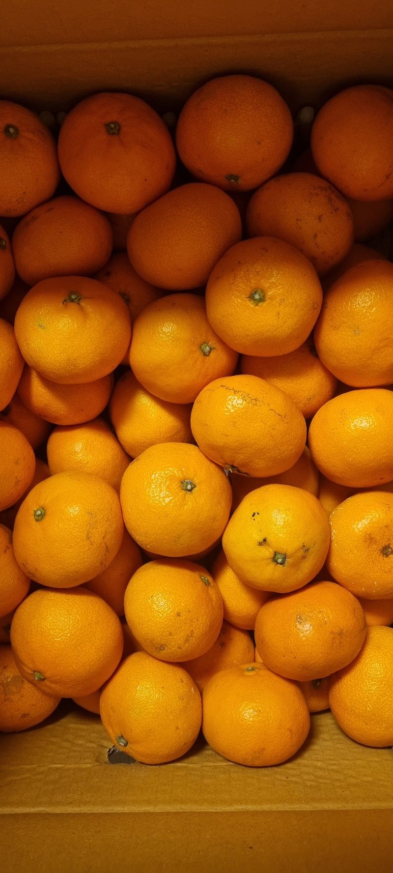 김진양님의 장터 구매 후기 썸네일