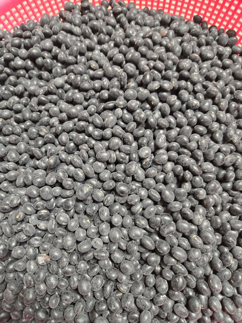 임영금 님의 장터 구매 후기 썸네일