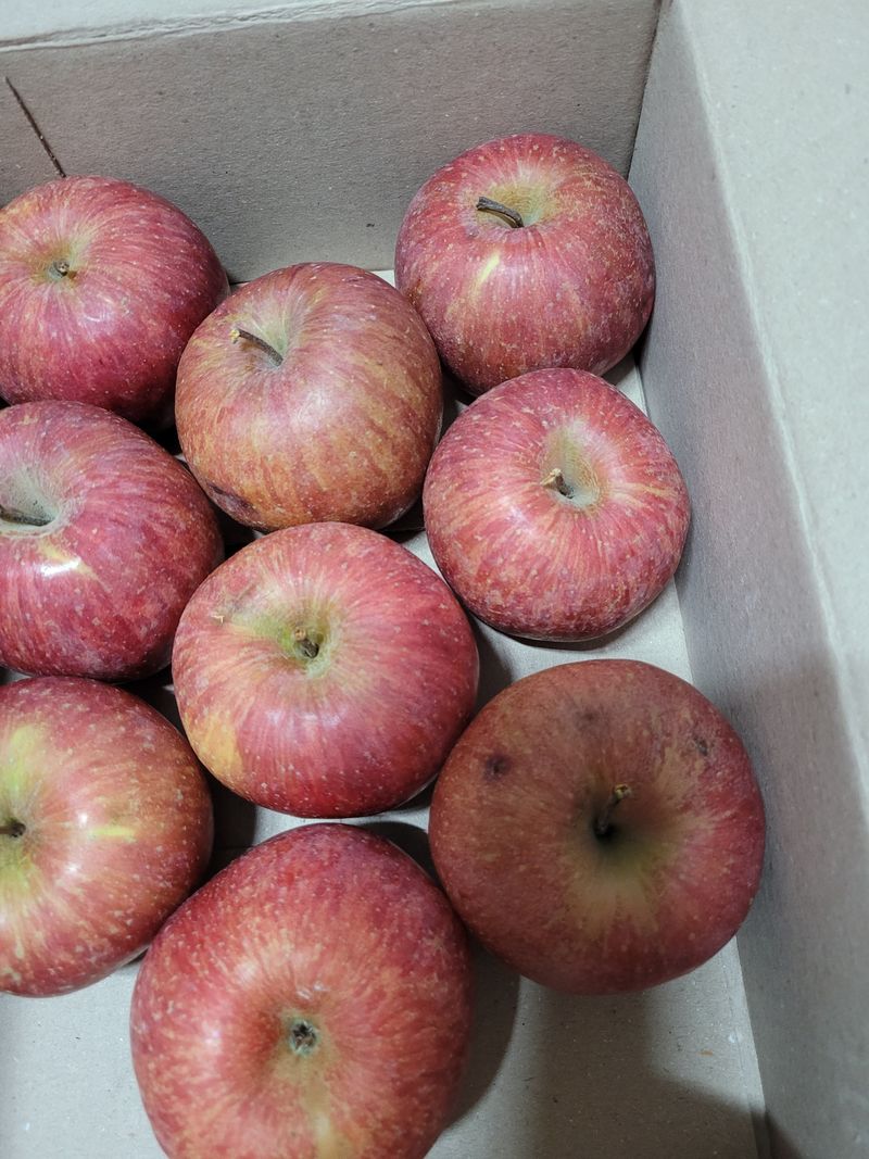 이순일님의 장터 구매 후기 썸네일