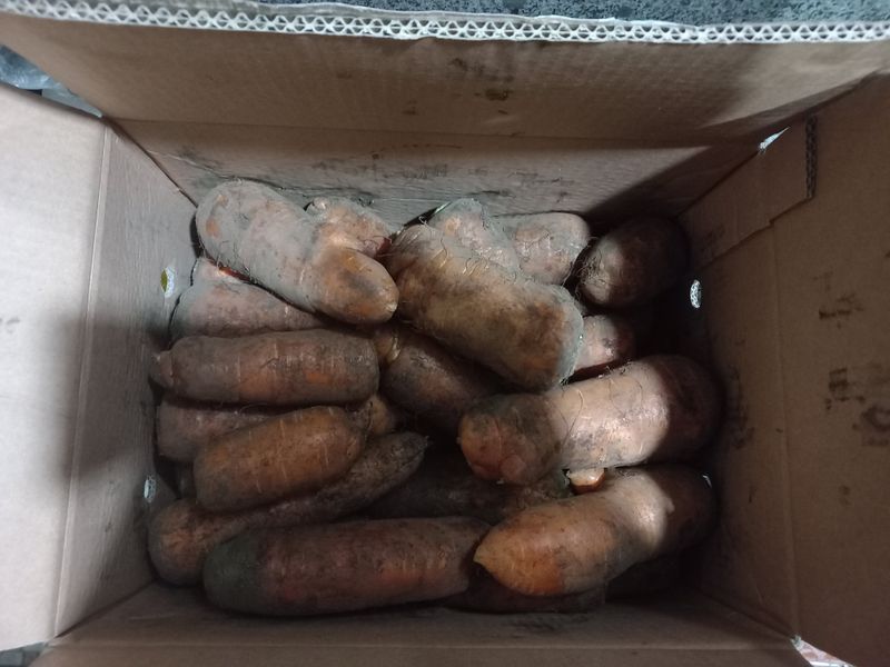 문순님의 장터 구매 후기 썸네일