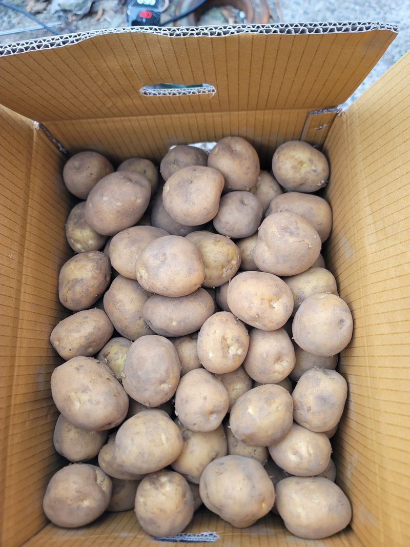 이석기님의 장터 구매 후기 썸네일