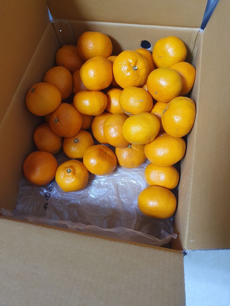 약손아빠 님의 장터 구매 후기 썸네일