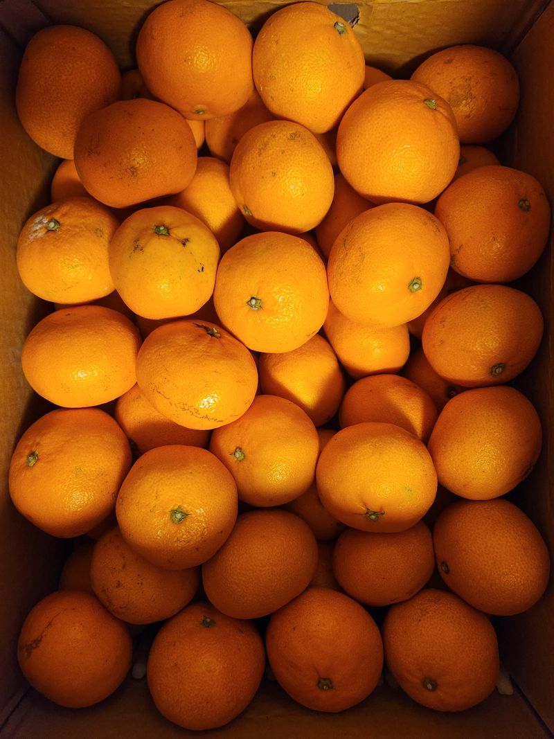 안산제일농약사님의 장터 구매 후기 썸네일