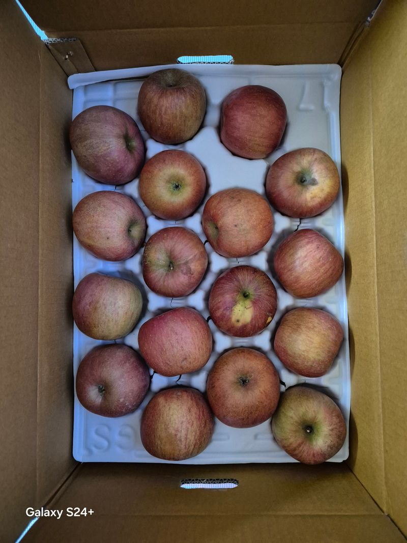 자두10696님의 장터 구매 후기 썸네일