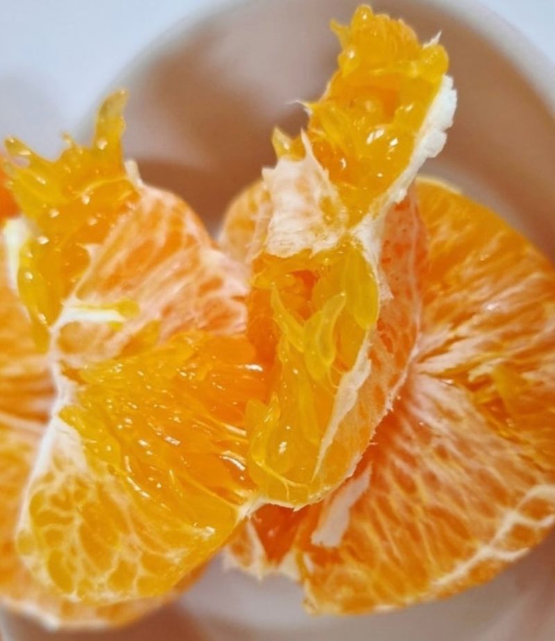 서윤옥님의 장터 구매 후기 썸네일