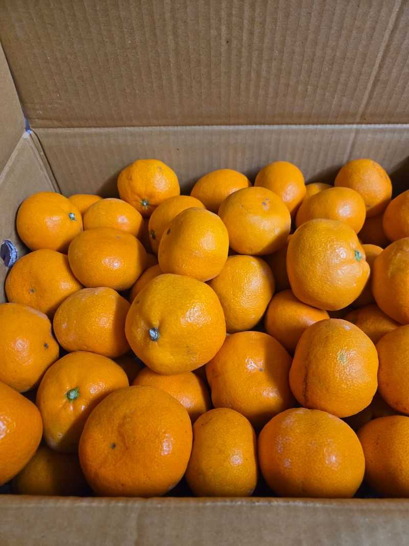 방촌대장님의 장터 구매 후기 썸네일