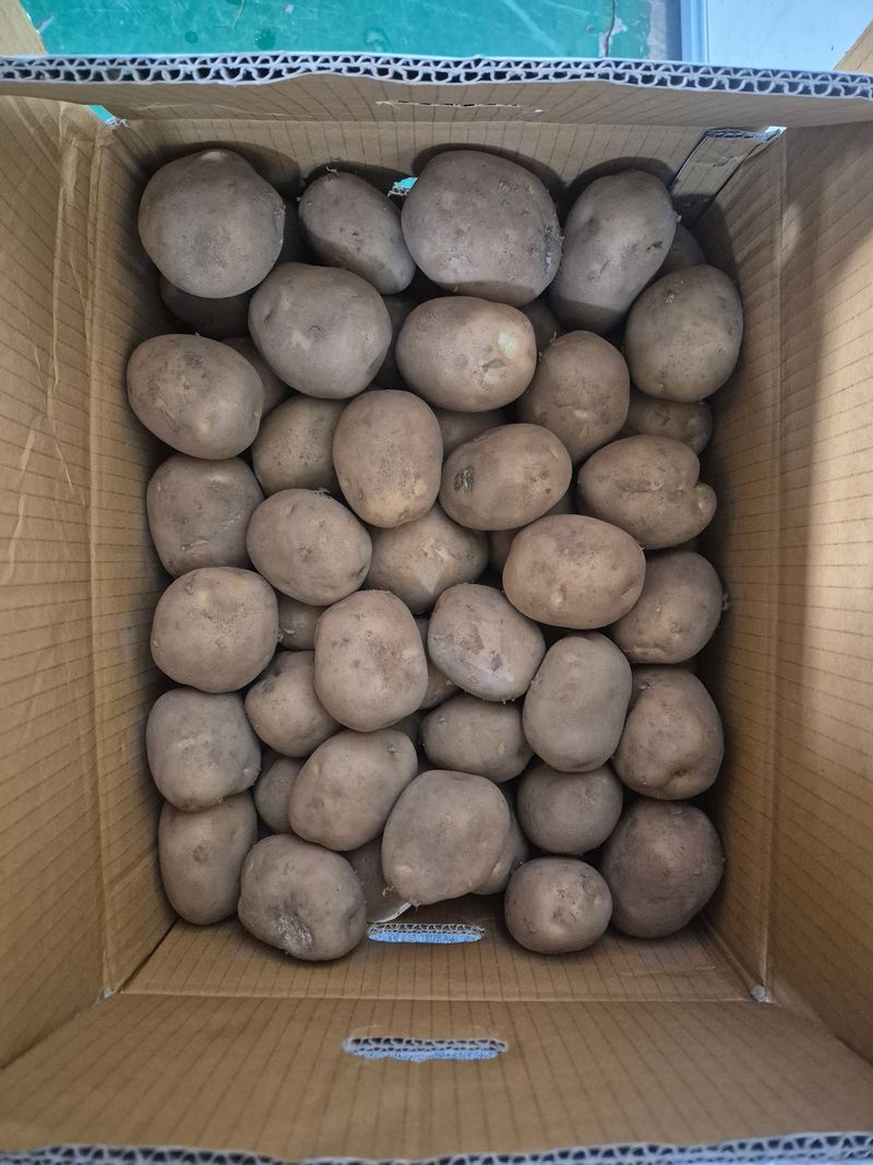 충남금산-김정섭님의 장터 구매 후기 썸네일