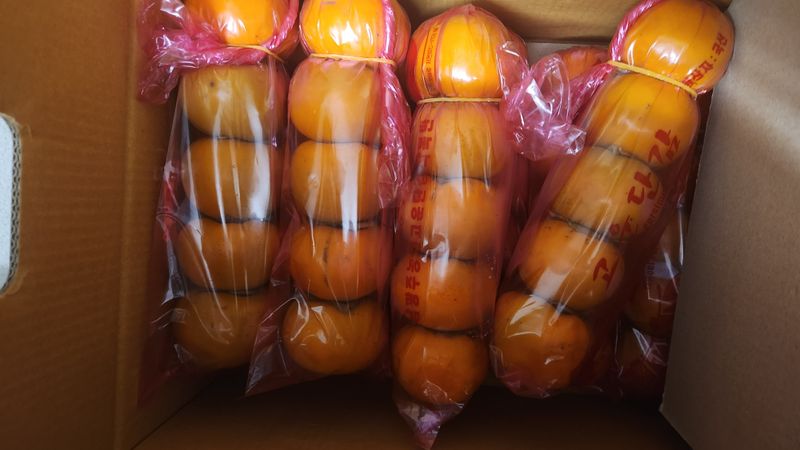 아미뫼님의 장터 구매 후기 썸네일