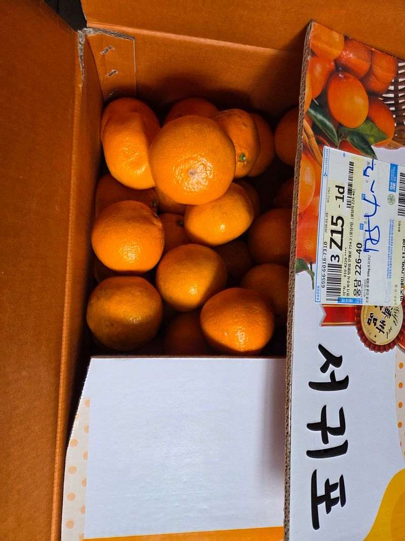 만월봉아지매님의 장터 구매 후기 썸네일