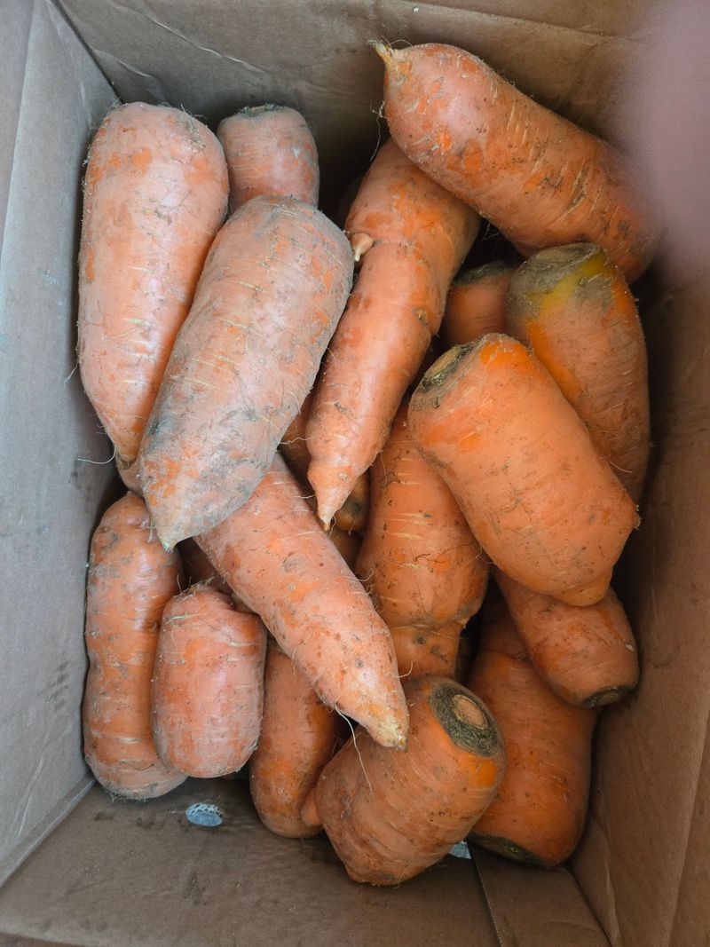 장지영님의 장터 구매 후기 썸네일