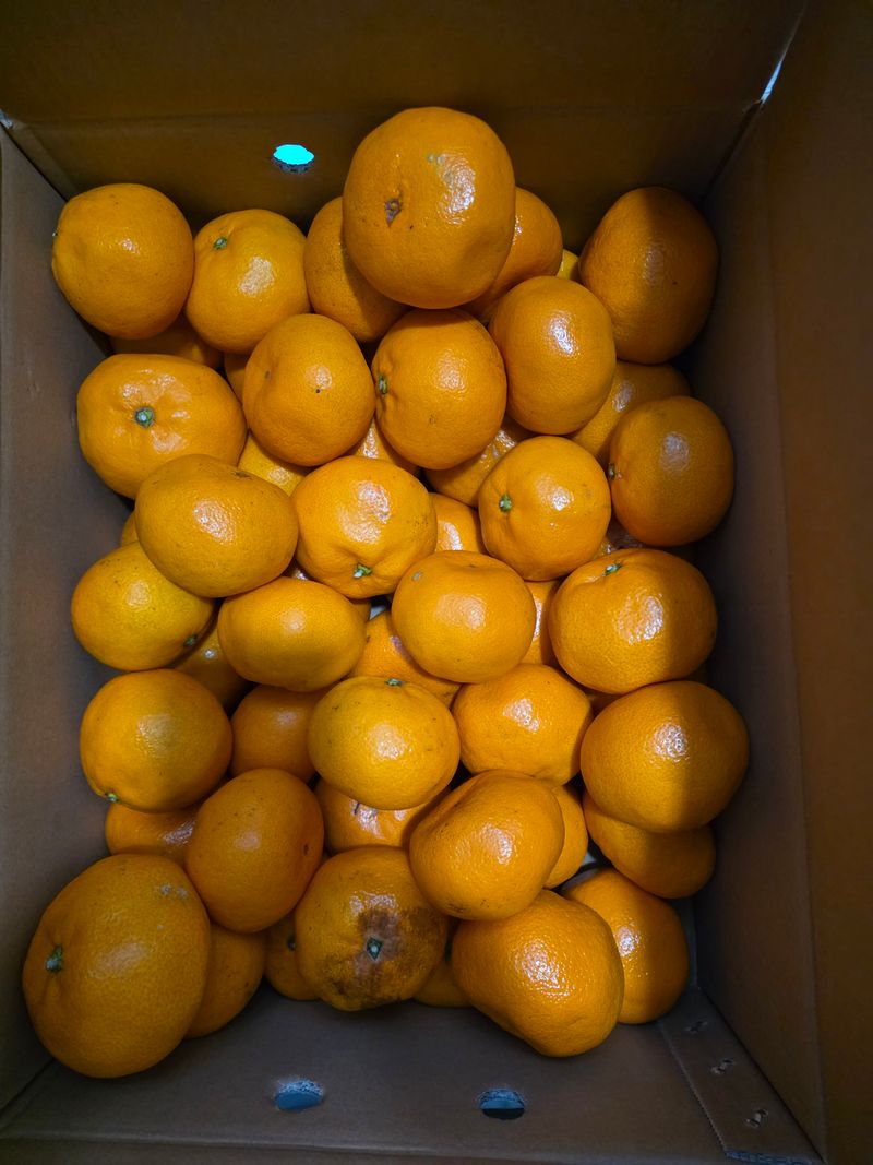 콩21209님의 장터 구매 후기 썸네일