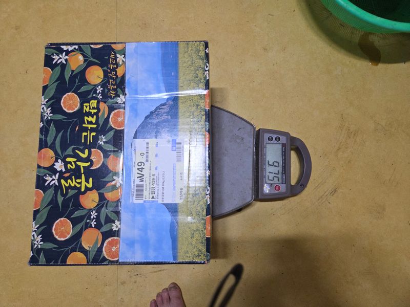 정남기님의 장터 구매 후기 썸네일