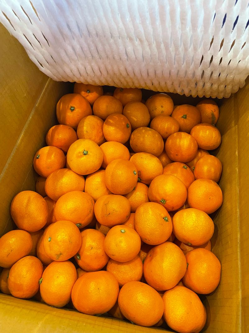 김진양님의 장터 구매 후기 썸네일