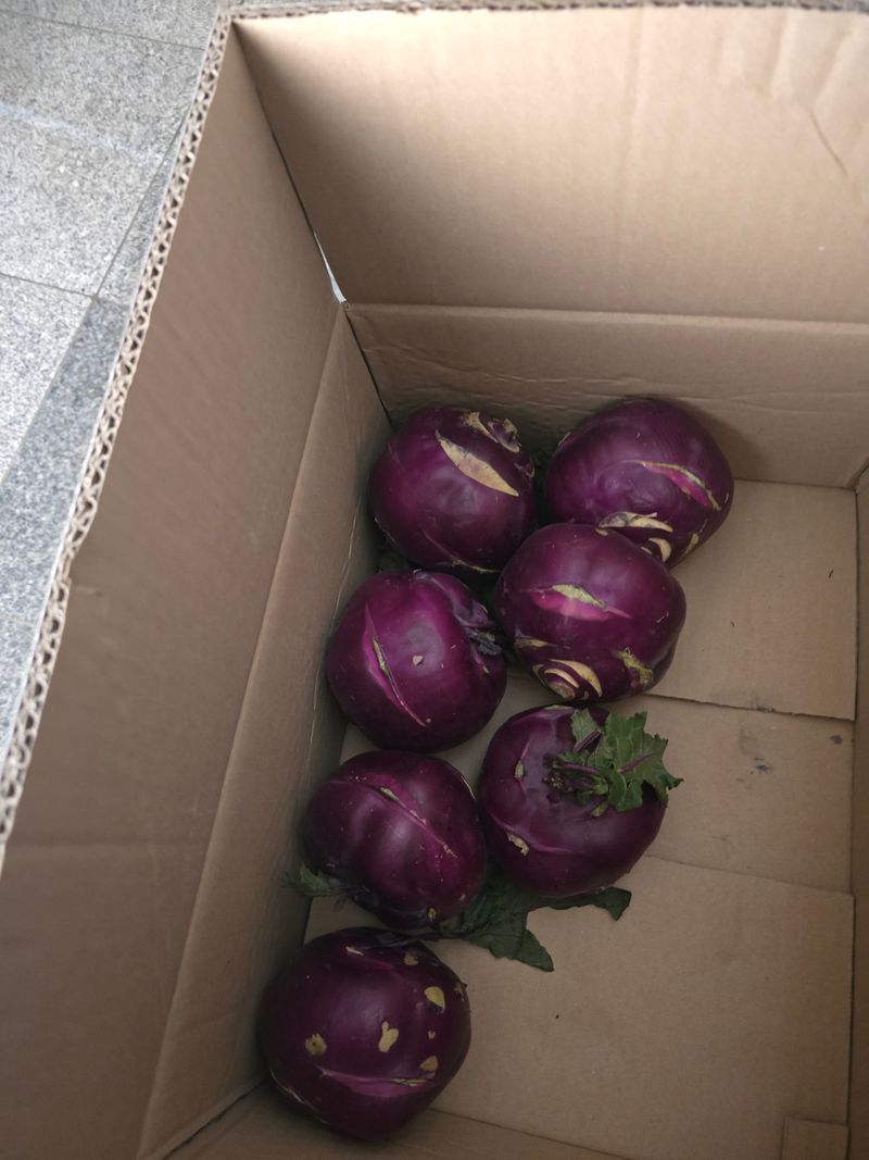 최동구님의 장터 구매 후기 썸네일