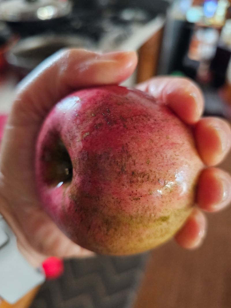 farmer님의 장터 구매 후기 썸네일