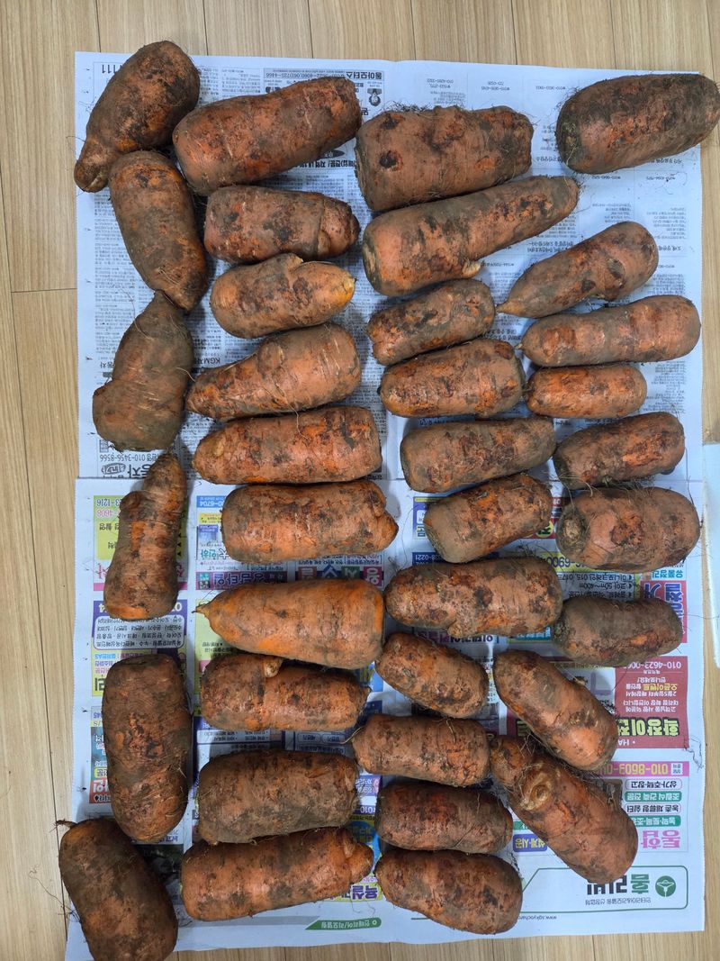 가랑비님의 장터 구매 후기 썸네일