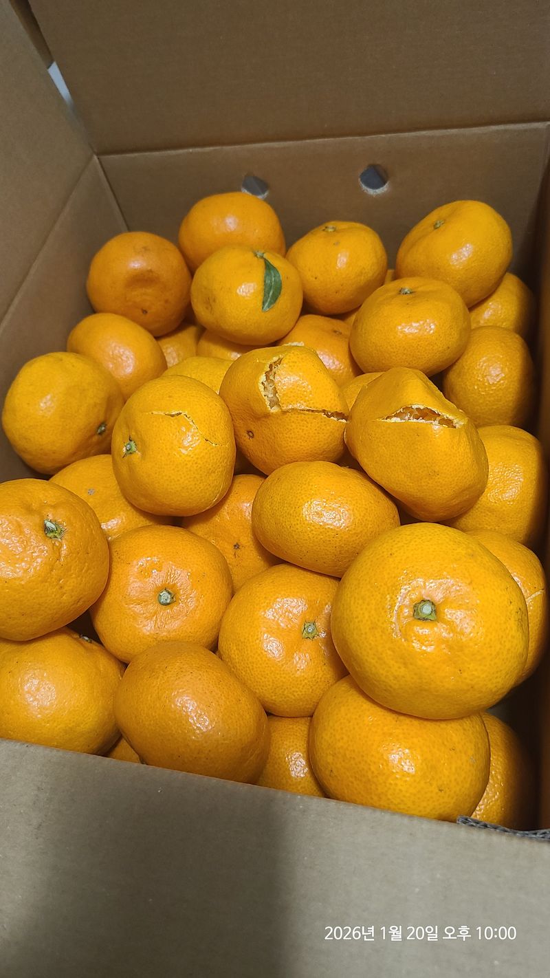 이상무님의 장터 구매 후기 썸네일