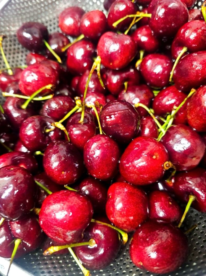 전미숙님의 장터 구매 후기 썸네일