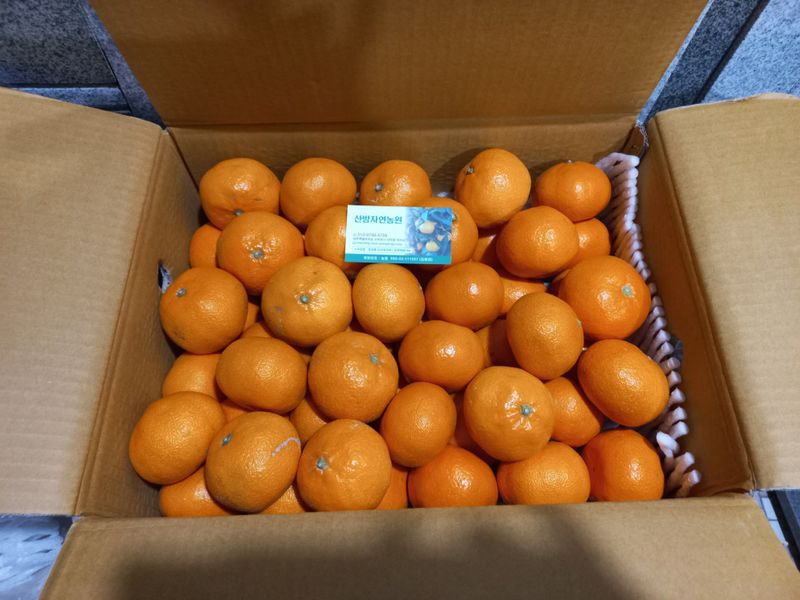 문순님의 장터 구매 후기 썸네일