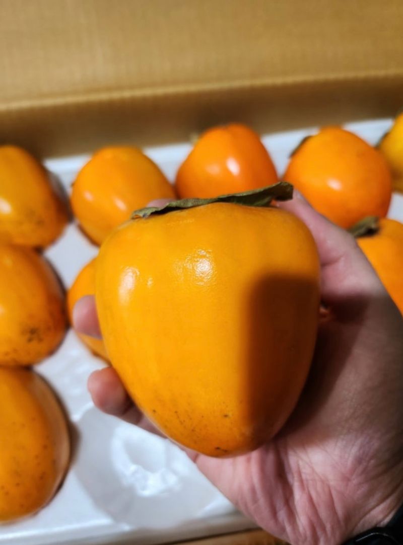 김명식님의 장터 구매 후기 썸네일