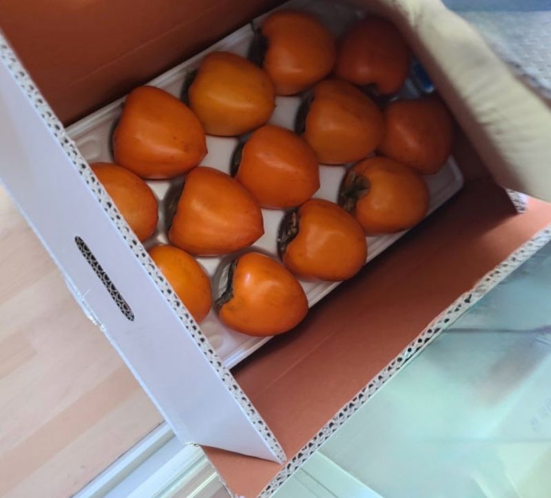 전미숙님의 장터 구매 후기 썸네일