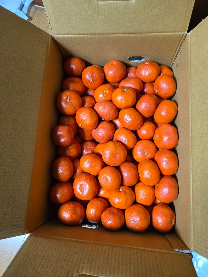 꾸야맘님의 장터 구매 후기 썸네일