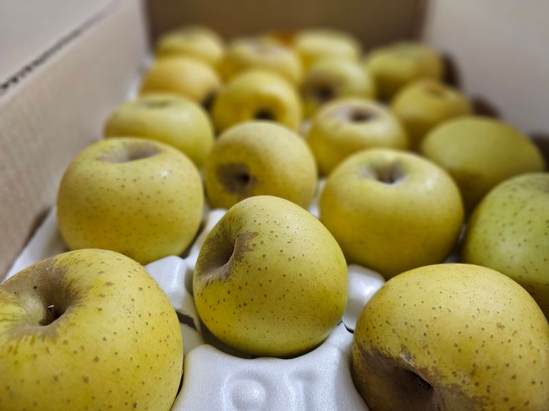 임흥철님의 장터 구매 후기 썸네일