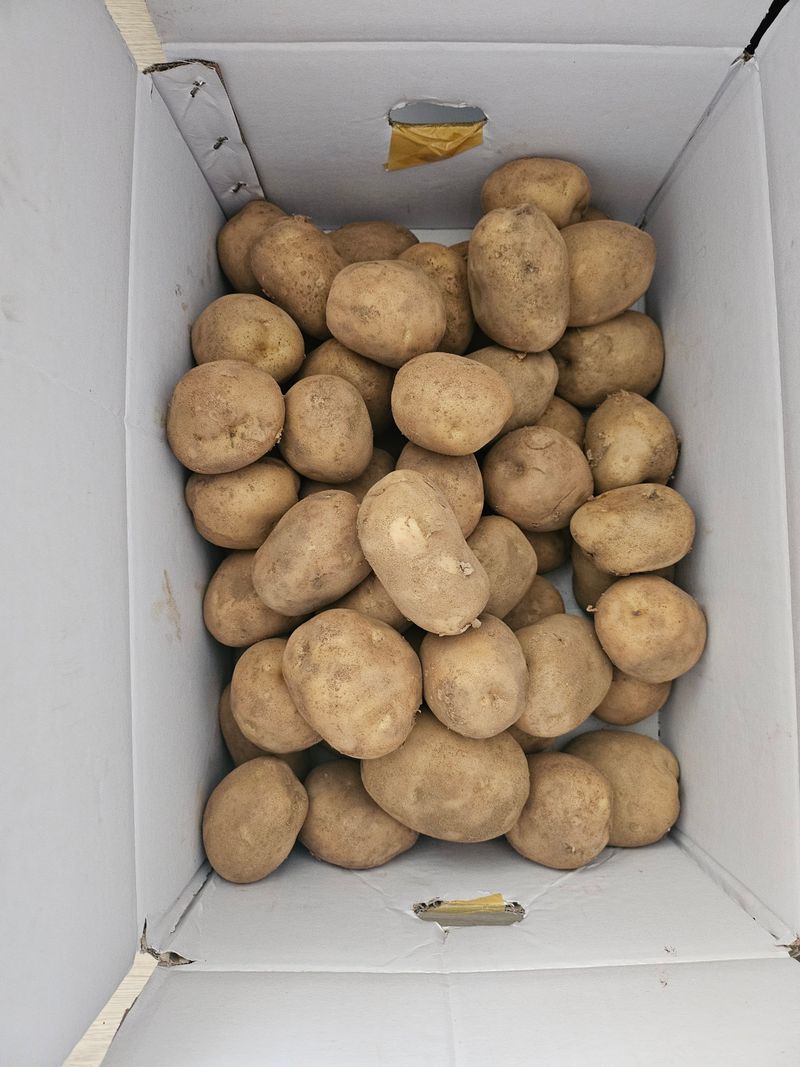 박종기님의 장터 구매 후기 썸네일