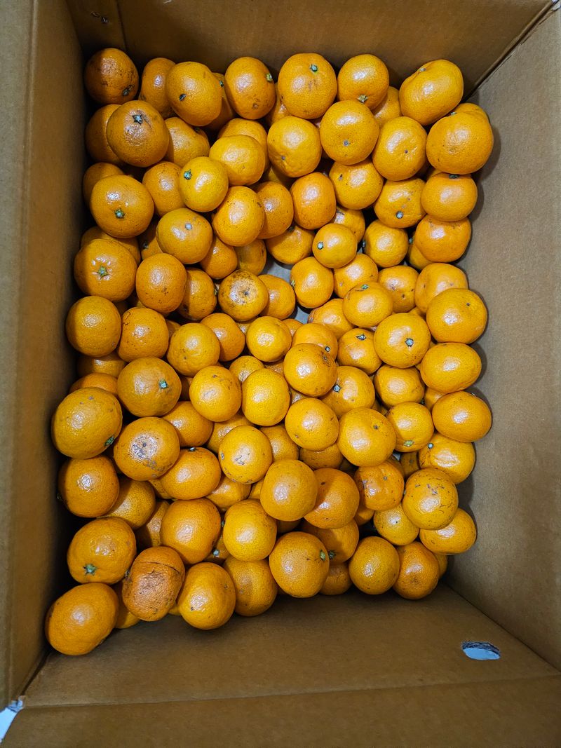 이미경님의 장터 구매 후기 썸네일