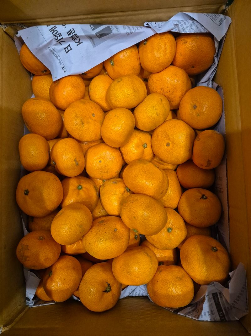 전성환님의 장터 구매 후기 썸네일