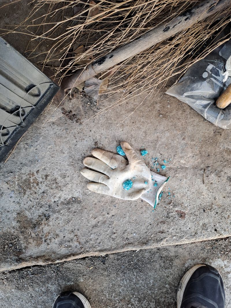 pyonngzz님의 장터 구매 후기 썸네일