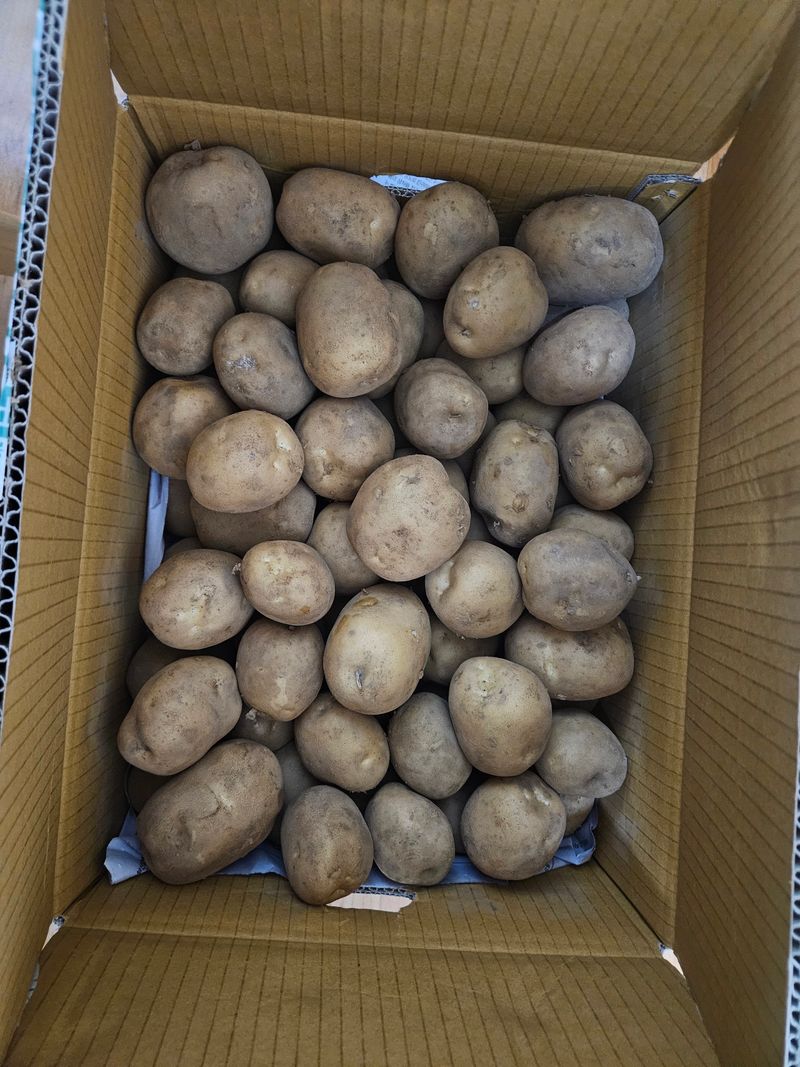 김중태님의 장터 구매 후기 썸네일