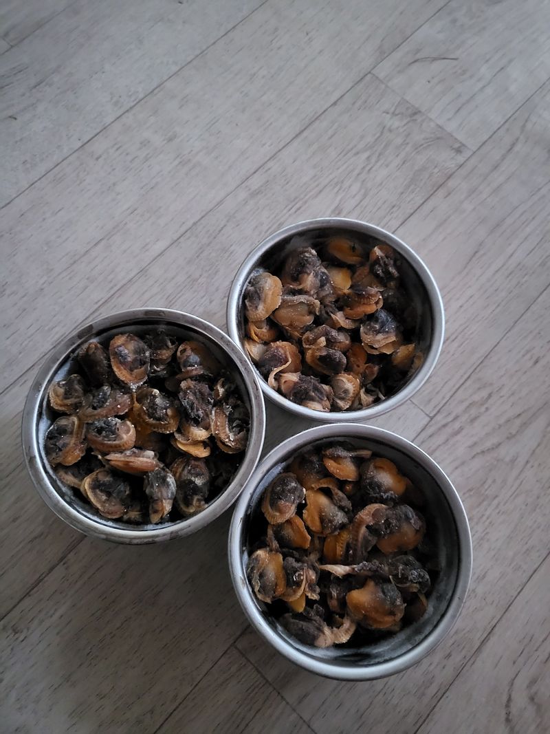 다락골성지님의 장터 구매 후기 썸네일