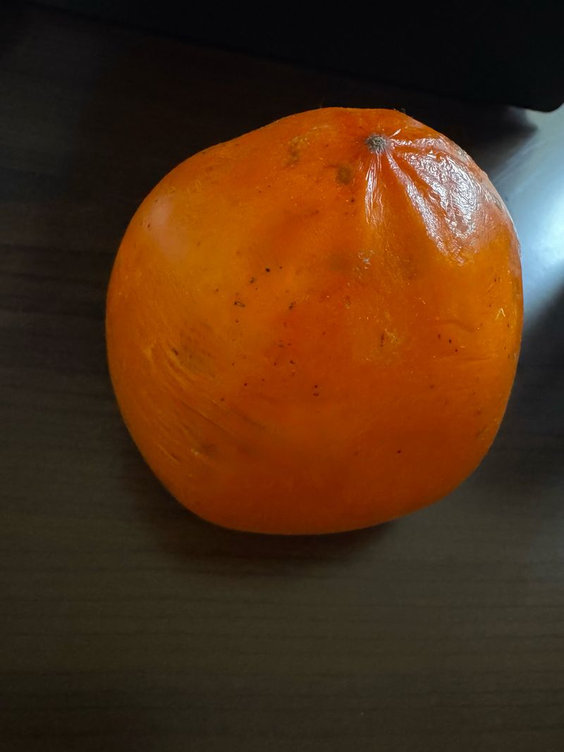 전미숙님의 장터 구매 후기 썸네일