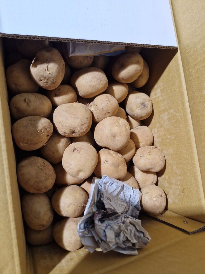 권태영님의 장터 구매 후기 썸네일