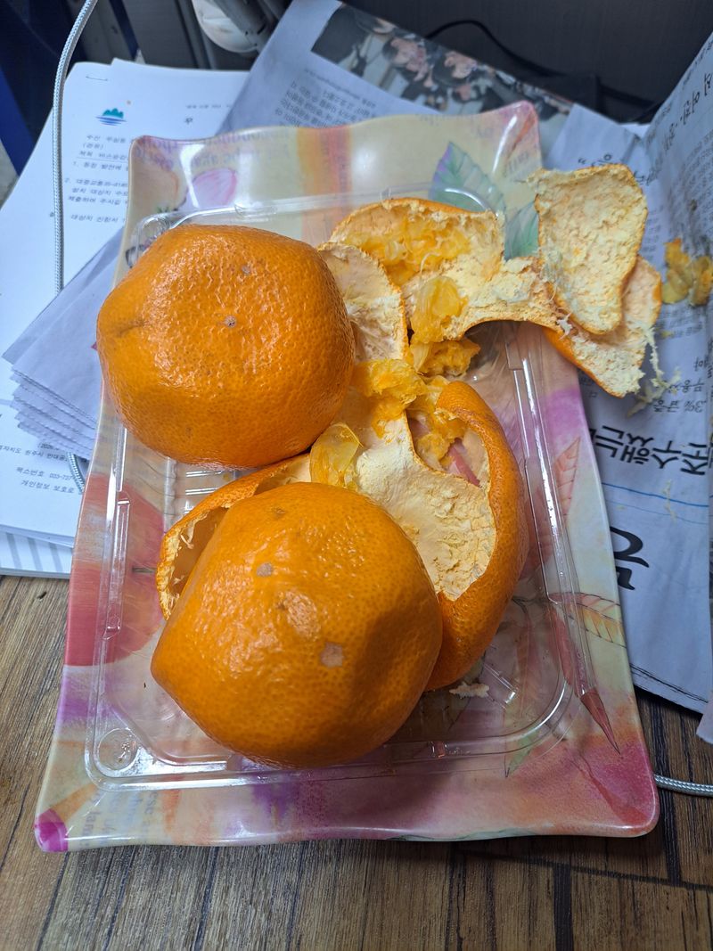 이은화님의 장터 구매 후기 썸네일