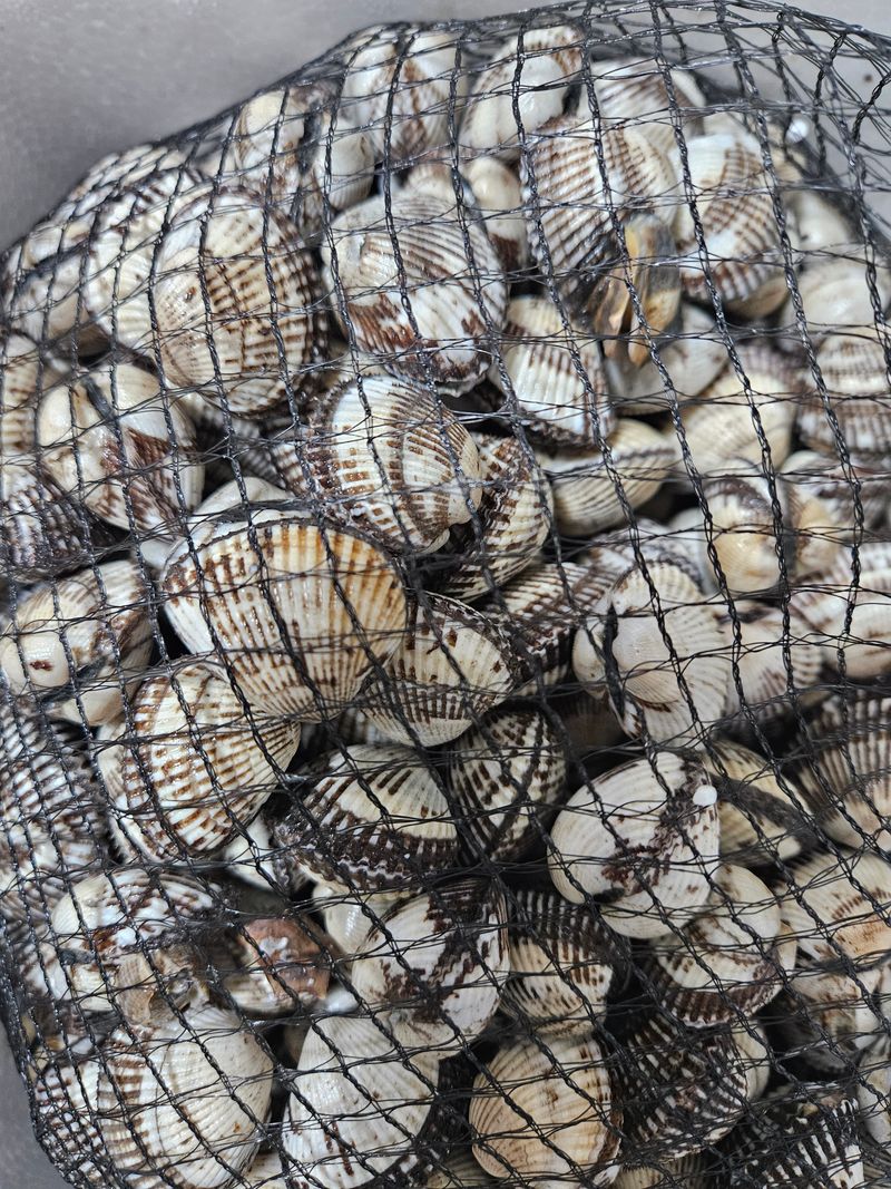 박미라님의 장터 구매 후기 썸네일