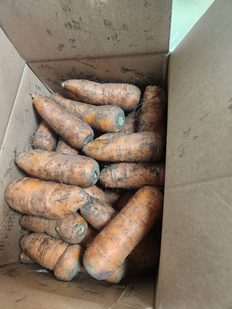 토마토11843님의 장터 구매 후기 썸네일