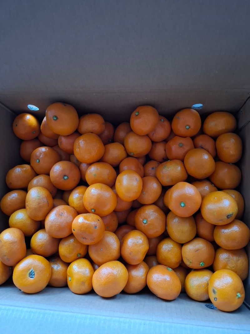 콩17872님의 장터 구매 후기 썸네일