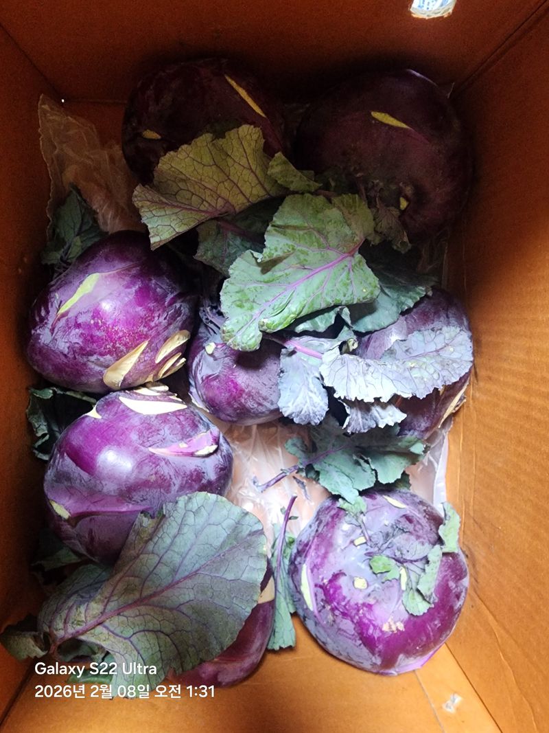 윤현중님의 장터 구매 후기 썸네일