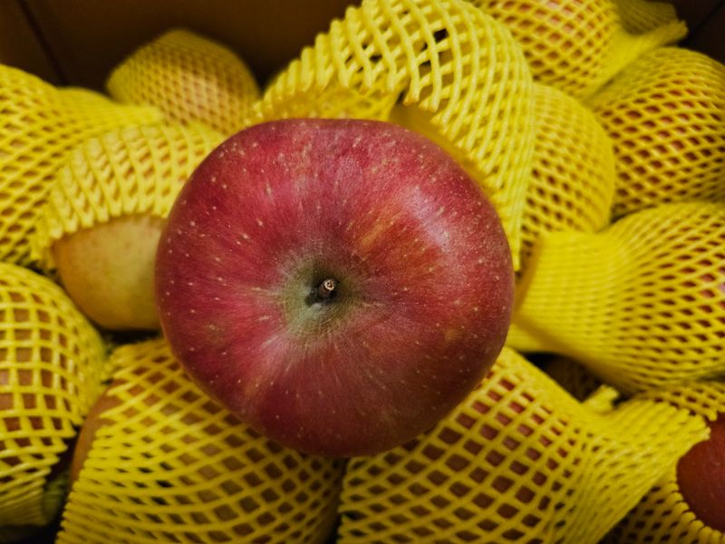 오가피15375님의 장터 구매 후기 썸네일