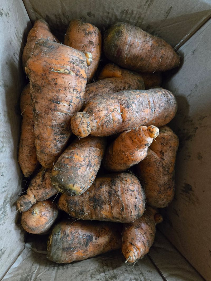 작은꽃밭님의 장터 구매 후기 썸네일