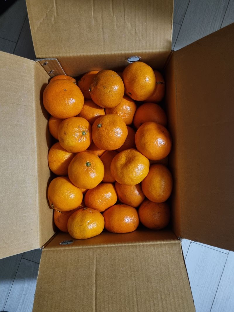 유정희님의 장터 구매 후기 썸네일