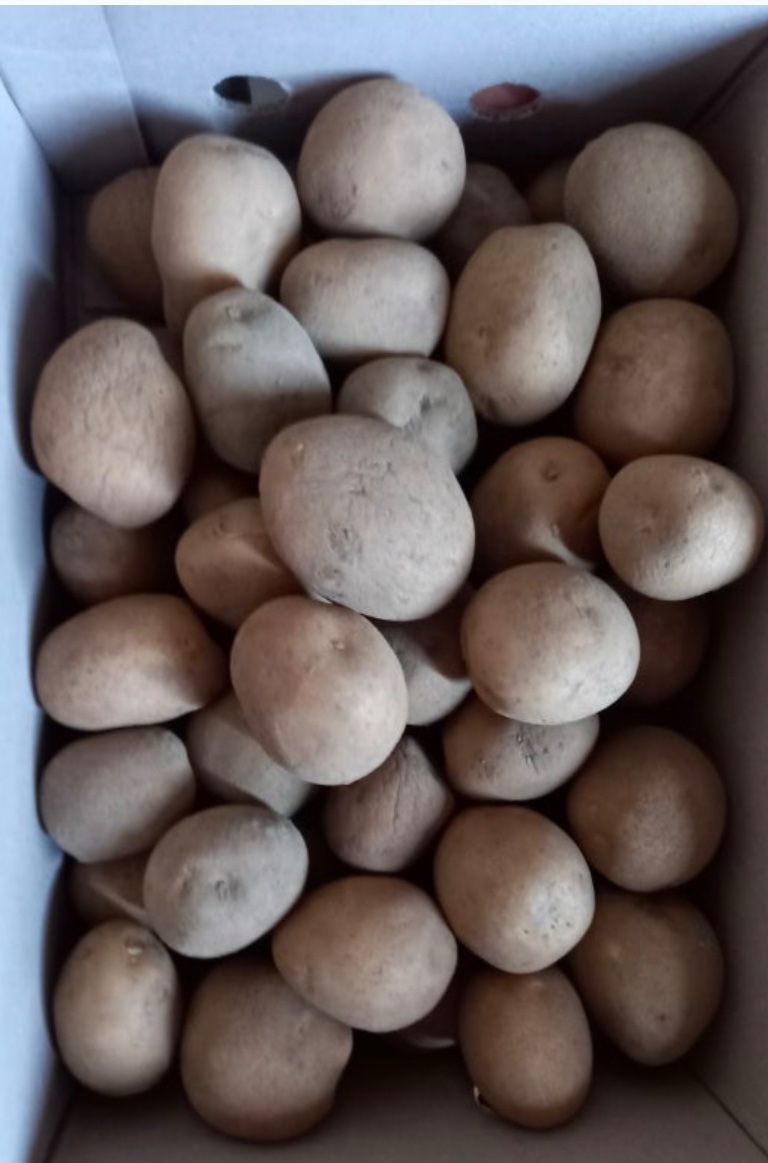 박미선님의 장터 구매 후기 썸네일