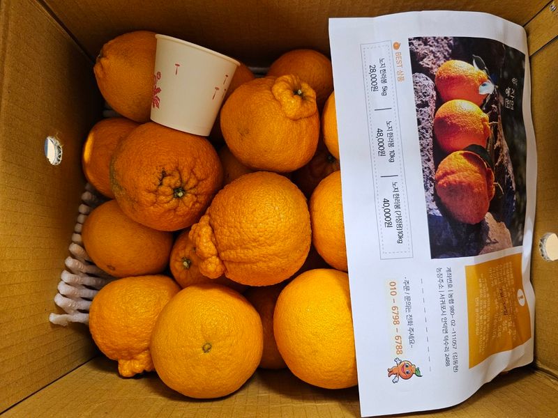 김진양님의 장터 구매 후기 썸네일